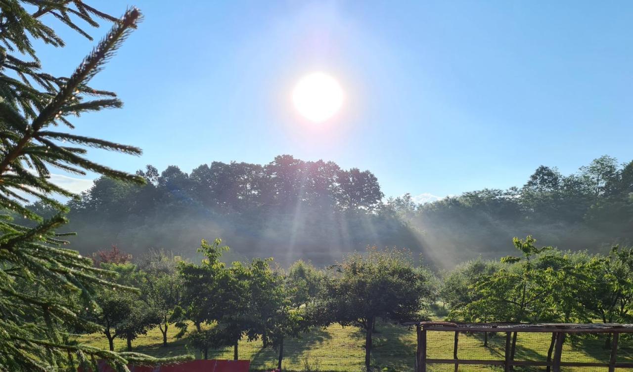 La Padure Hotel Brebu ภายนอก รูปภาพ